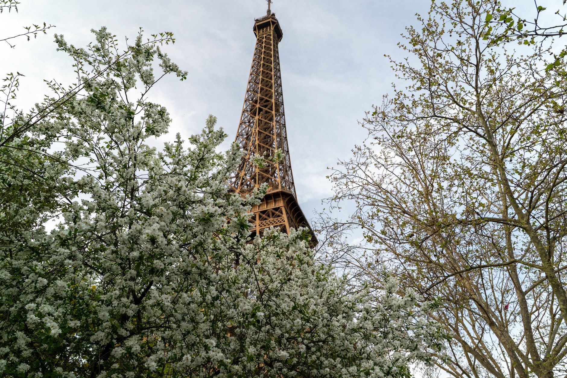 Eiffeltornet sett från Trocadéro under olika årstider visar hur Paris förändras genom året